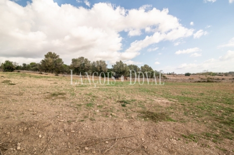  Mallorca. Venta finca con proyecto para agroturismo. Sant Llorenç des Cardassar