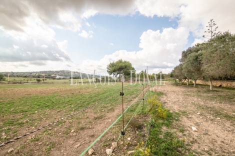  Mallorca. Venta finca con proyecto para agroturismo. Sant Llorenç des Cardassar