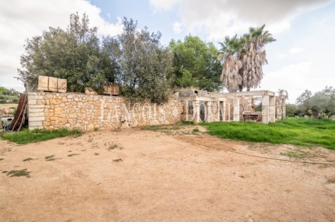  Mallorca. Venta finca con proyecto para agroturismo. Sant Llorenç des Cardassar