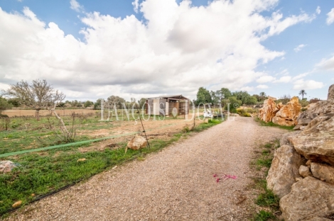  Mallorca. Venta finca con proyecto para agroturismo. Sant Llorenç des Cardassar