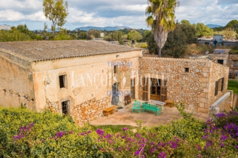  Mallorca. Venta finca con proyecto para agroturismo. Sant Llorenç des Cardassar