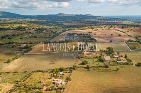  Mallorca. Venta finca con proyecto para agroturismo. Sant Llorenç des Cardassar