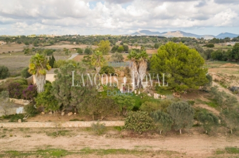  Mallorca. Venta finca con proyecto para agroturismo. Sant Llorenç des Cardassar