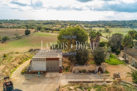  Mallorca. Venta finca con proyecto para agroturismo. Sant Llorenç des Cardassar