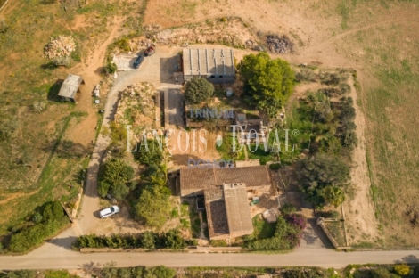  Mallorca. Venta finca con proyecto para agroturismo. Sant Llorenç des Cardassar