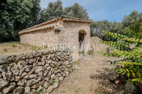 Mallorca. Venta edificio en construcción. Santa Eugenia. Ideal hotel con encanto.