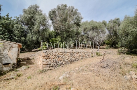 Mallorca. Venta edificio en construcción. Santa Eugenia. Ideal hotel con encanto.