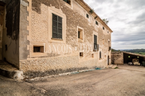 Mallorca. Possessio mallorquina en venta. Proyecto para agroturismo. Campanet, 