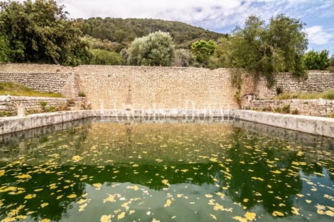 Mallorca. Possessio mallorquina en venta. Proyecto para agroturismo. Campanet, 