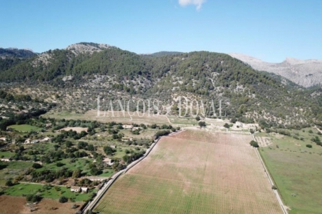 Mallorca. Possessio mallorquina en venta. Proyecto para agroturismo. Campanet, 