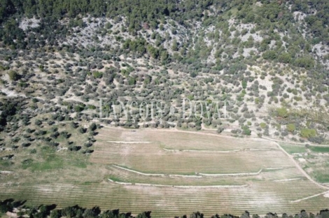 Mallorca. Possessio mallorquina en venta. Proyecto para agroturismo. Campanet, 