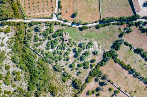 Finca rústica en venta. Excelente ubicación en Capdepera, Mallorca