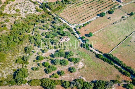 Finca rústica en venta. Excelente ubicación en Capdepera, Mallorca