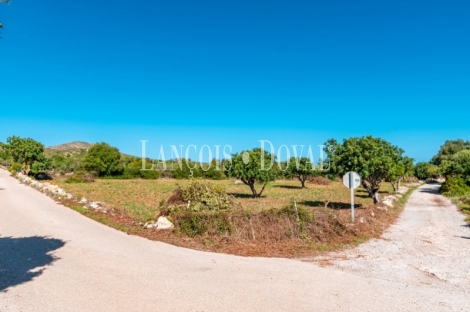 Finca rústica en venta. Excelente ubicación en Capdepera, Mallorca