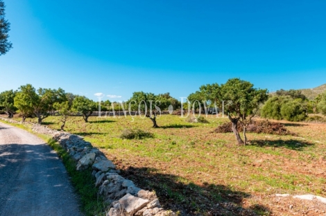 Finca rústica en venta. Excelente ubicación en Capdepera, Mallorca