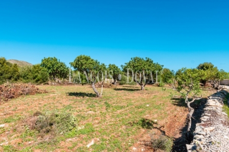 Finca rústica en venta. Excelente ubicación en Capdepera, Mallorca