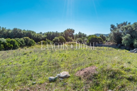 Finca rústica en venta. Excelente ubicación en Capdepera, Mallorca