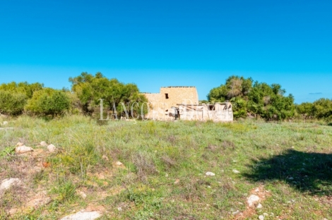 Finca rústica en venta. Excelente ubicación en Capdepera, Mallorca