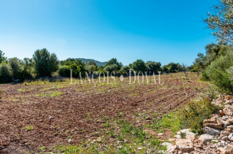 Finca rústica en venta. Excelente ubicación en Capdepera, Mallorca