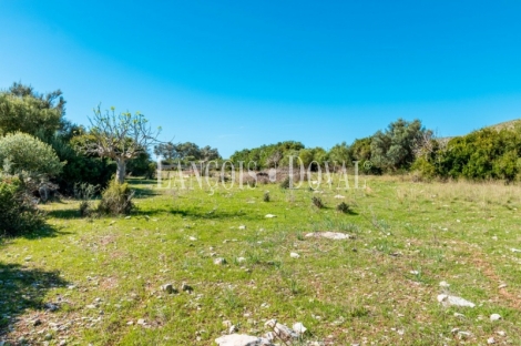 Finca rústica en venta. Excelente ubicación en Capdepera, Mallorca