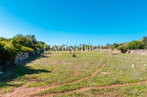 Finca rústica en venta. Excelente ubicación en Capdepera, Mallorca