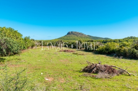 Finca rústica en venta. Excelente ubicación en Capdepera, Mallorca