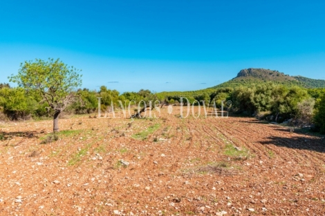 Finca rústica en venta. Excelente ubicación en Capdepera, Mallorca