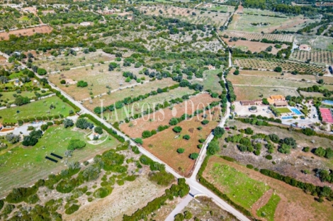 Finca rústica en venta. Excelente ubicación en Capdepera, Mallorca