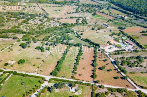 Finca rústica en venta. Excelente ubicación en Capdepera, Mallorca