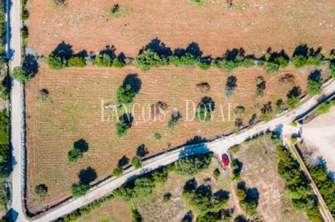 Finca rústica en venta. Excelente ubicación en Capdepera, Mallorca