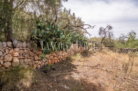 Gran finca rústica en venta. Costitx, Mallorca propiedades singulares.