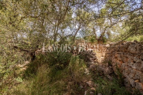 Gran finca rústica en venta. Costitx, Mallorca propiedades singulares.