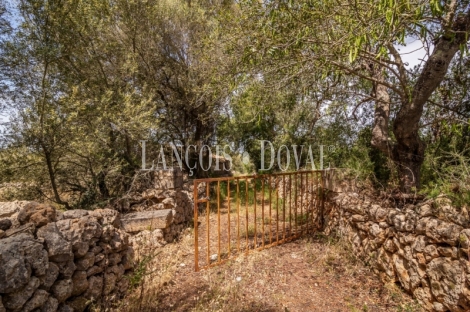 Gran finca rústica en venta. Costitx, Mallorca propiedades singulares.