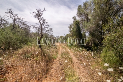 Gran finca rústica en venta. Costitx, Mallorca propiedades singulares.