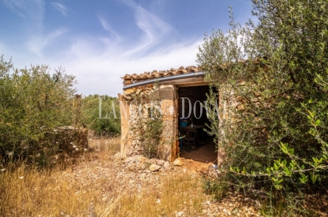 Gran finca rústica en venta. Costitx, Mallorca propiedades singulares.
