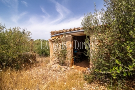 Gran finca rústica en venta. Costitx, Mallorca propiedades singulares.