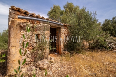 Gran finca rústica en venta. Costitx, Mallorca propiedades singulares.