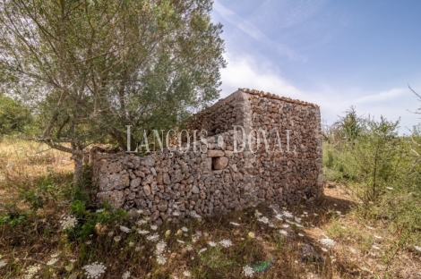 Gran finca rústica en venta. Costitx, Mallorca propiedades singulares.