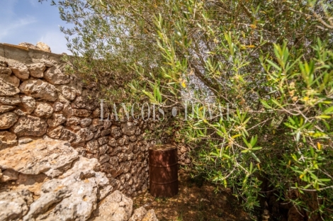 Gran finca rústica en venta. Costitx, Mallorca propiedades singulares.