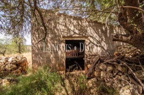 Gran finca rústica en venta. Costitx, Mallorca propiedades singulares.