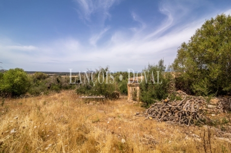 Gran finca rústica en venta. Costitx, Mallorca propiedades singulares.