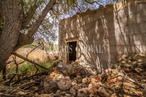 Gran finca rústica en venta. Costitx, Mallorca propiedades singulares.