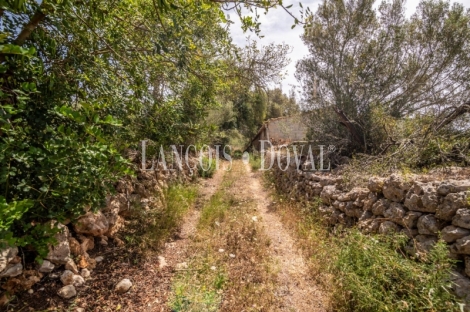 Gran finca rústica en venta. Costitx, Mallorca propiedades singulares.