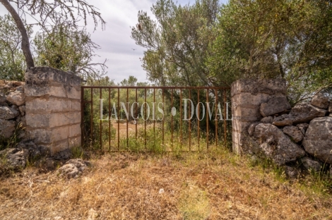 Gran finca rústica en venta. Costitx, Mallorca propiedades singulares.