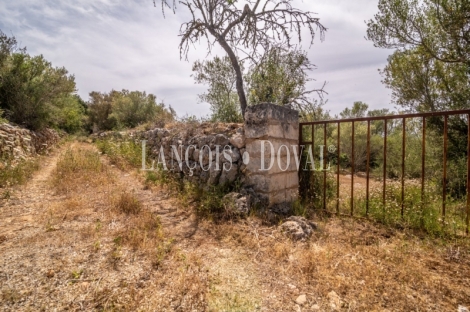 Gran finca rústica en venta. Costitx, Mallorca propiedades singulares.