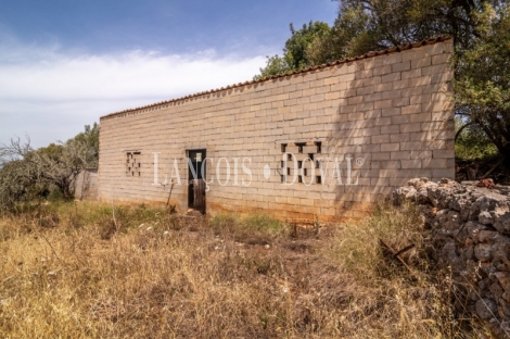 Gran finca rústica en venta. Costitx, Mallorca propiedades singulares.