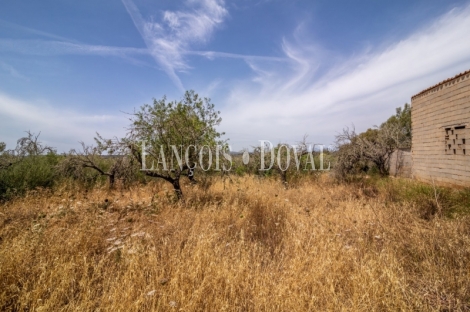 Gran finca rústica en venta. Costitx, Mallorca propiedades singulares.