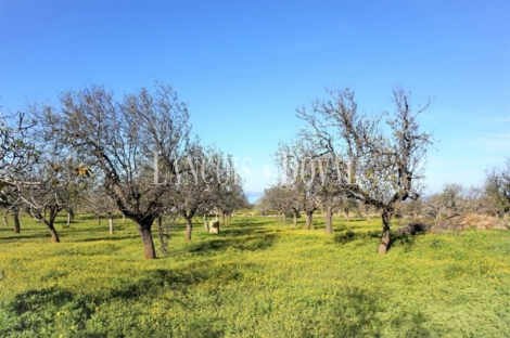  Mallorca. Finca rústica en venta. Casa a reformar. Artà. Colonia Sant Pere,