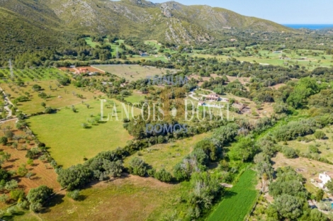 Capdepera. Finca rústica en venta con proyecto de construcción. Mallorca