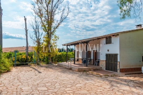 Marratxi. Gran finca rústica en venta. Explotación de cítricos en Mallorca